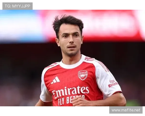 祖比门迪国家队地位是否被高估？战术适配性与实战表现解析